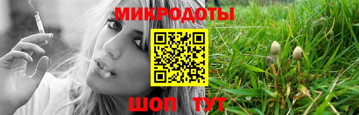 Псилоцибиновые грибы ЛСД  Вход с VPN  цены   Канаш 